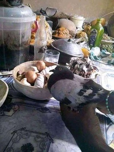 Rituel pour réussir à un examen ou concours